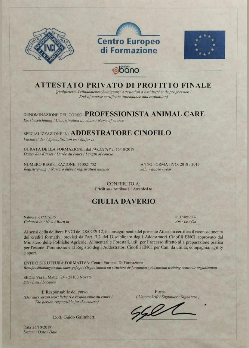 Immagine WhatsApp 2024-03-29 ore 18.04.58_0b66d82c