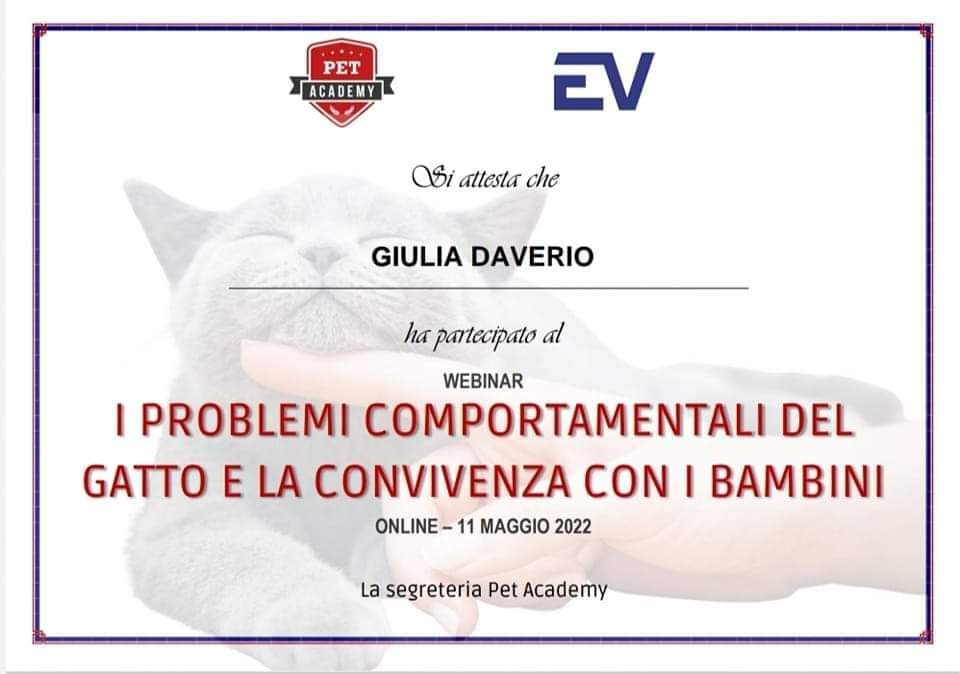 da42ab19-0e1a-4998-a1f4-b6bf32a06572